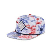 Boston Red Sox Printed Golfer Hat